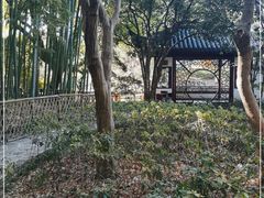 -汇龙潭