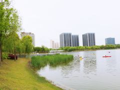 -南翔镇银翔湖公园