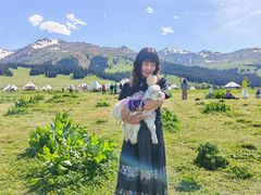 -新疆那拉提国家旅游度假区