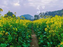 -广州市石门国家森林公园