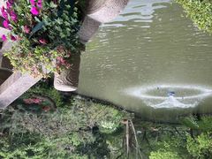 -上海醉白池公园