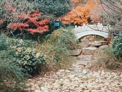 -杭州半山国家森林公园