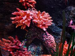 -沈阳海洋探索中心