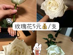 -曲阳花鸟市场(曲阳路店)