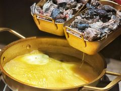 -Darling Queen·Mini·Live·House