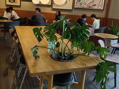 -Wagas沃歌斯(汇智店)