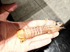 -川骄海鲜自助(亚运村店)