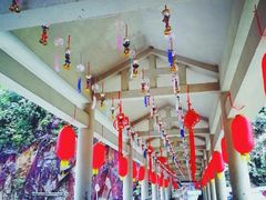 -九龙江国家森林公园