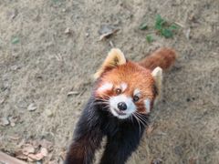 -常州淹城野生动物世界
