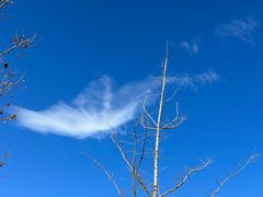 -厉家菜(金宝街店)