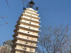 -真庆观