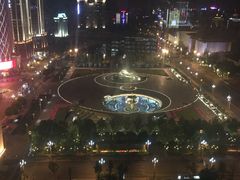 -成都明宇丽雅饭店