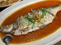 翘嘴鲌鱼-丹江渔村(望京店)