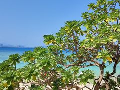 -三亚蜈支洲岛旅游区