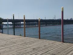 -长白岛森林公园