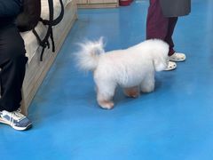 -宠爱国际动物医院·疑难骨科·心肾内科·皮肤科(太阳宫店)