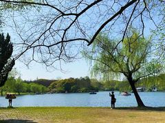 -上海共青森林公园