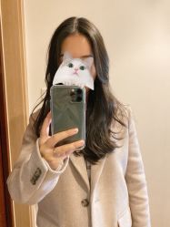 -东晨宝格丽品质造型