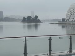 -金沙湖公园