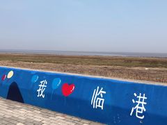 -南汇嘴观海公园