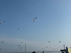 -星海广场