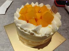 -布歌东京(益田假日店)