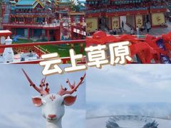 -阿露佳·舌尖上的安吉菜