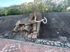 -哈尔滨北方森林动物园