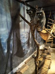 -酷嗒动物文化乐园(cutezoo西溪乐天城店)