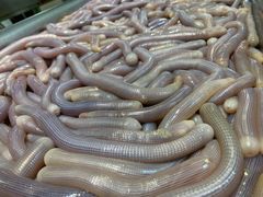 -三亚火车头万人海鲜广场