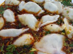 小茴香牛肉饺子-尤素福东举院饺子馆