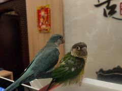 -盤古Spa泰式古法抓龙筋(鲁迅路店)