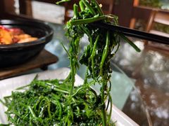 -兴隆槟榔园休闲农庄