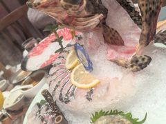 -东海怡品海鲜豆捞(星街坊店)