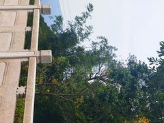 -广州市帽峰山景区