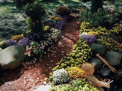 -上海共青森林公园