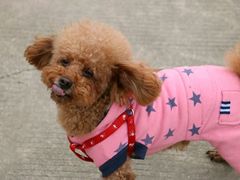 -骐奇宠物诊疗中心(南亭公路店)