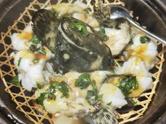 九层塔焗龙胆石斑-林四喜·闽南传家菜(鼓浪屿店)