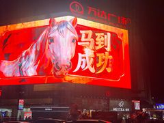 -万达广场(万州店)