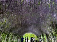 -同里国家湿地公园