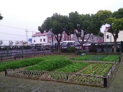 -张闻天故居
