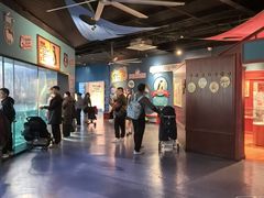-海合安武汉极地海洋公园