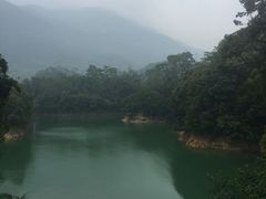 景点-广州市流溪河国家森林公园