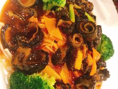 -海通1号(梅峰店)