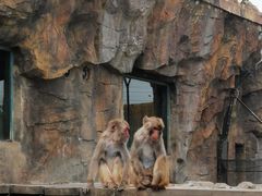 -大连森林动物园