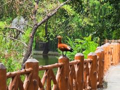 -石家庄市动物园