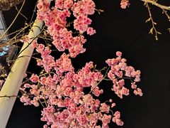-南门绿玉农贸市场
