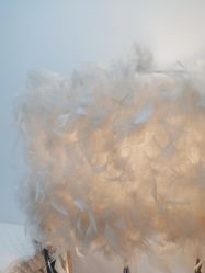 -尚睿优美·美容瘦身中心