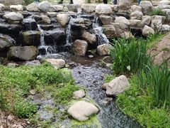 -白水寺森林公园