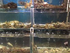 -喜悦小串海鲜烧烤大排档(高新万达店)